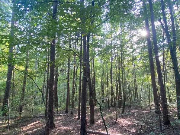 0 Pointe South Dr #1, Wedowee, AL 36278