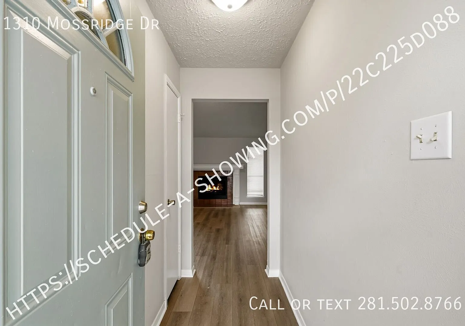 Special Available! — Photo 2