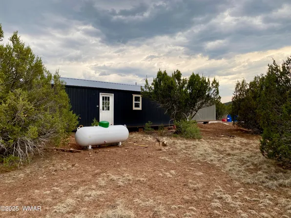 34 Winchester Trl, Vernon, AZ 85940