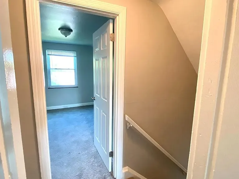 jpg