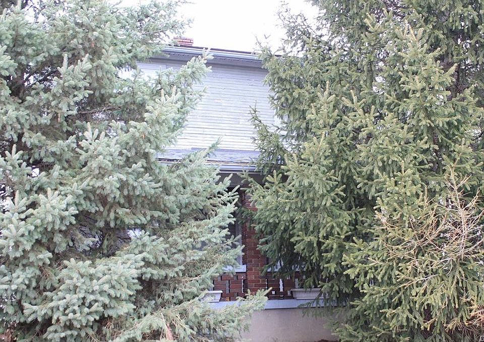 1st image of 321 Grove Ave