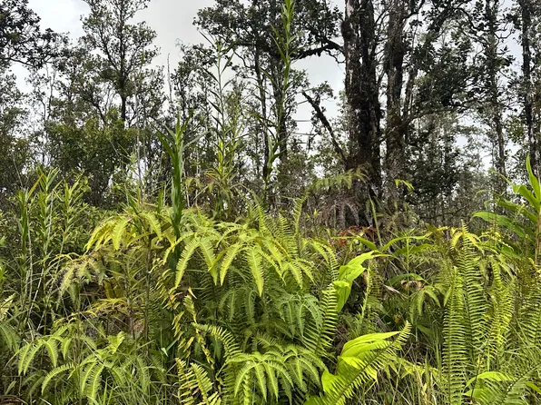 Road 5 Lot 4055, Kurtistown, HI 96760