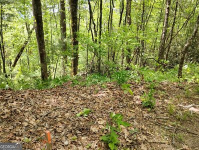 0 Ridgepole Dr Lot 120, Dillard, GA, 30537