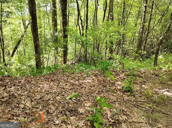 0 Ridgepole Dr Lot 120, Dillard, GA 30537