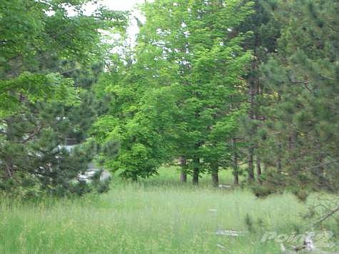 Easy drive to Traverse City, Cadillac, Kalkaska, US-131