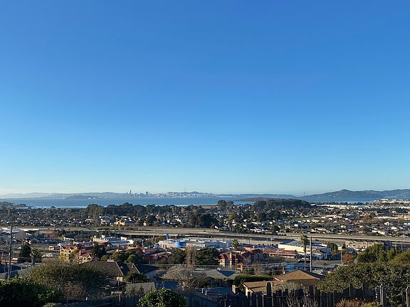 Backyard daytime view