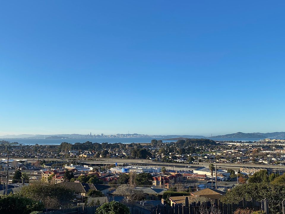 Backyard daytime view