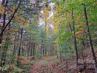 0 Rock Creek Rd, Zirconia, NC, 28790