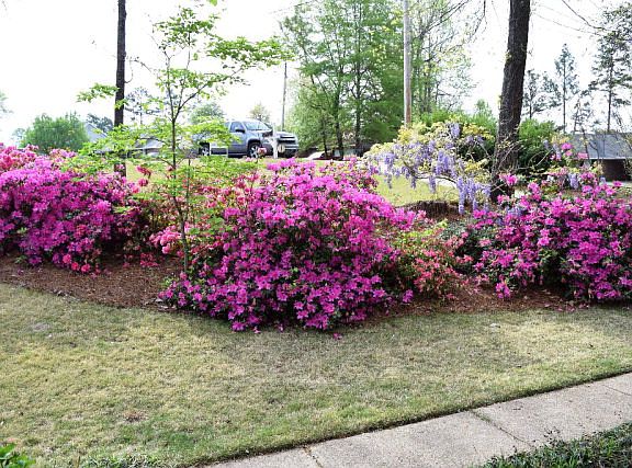 2nd image of 102 Lee Road 985