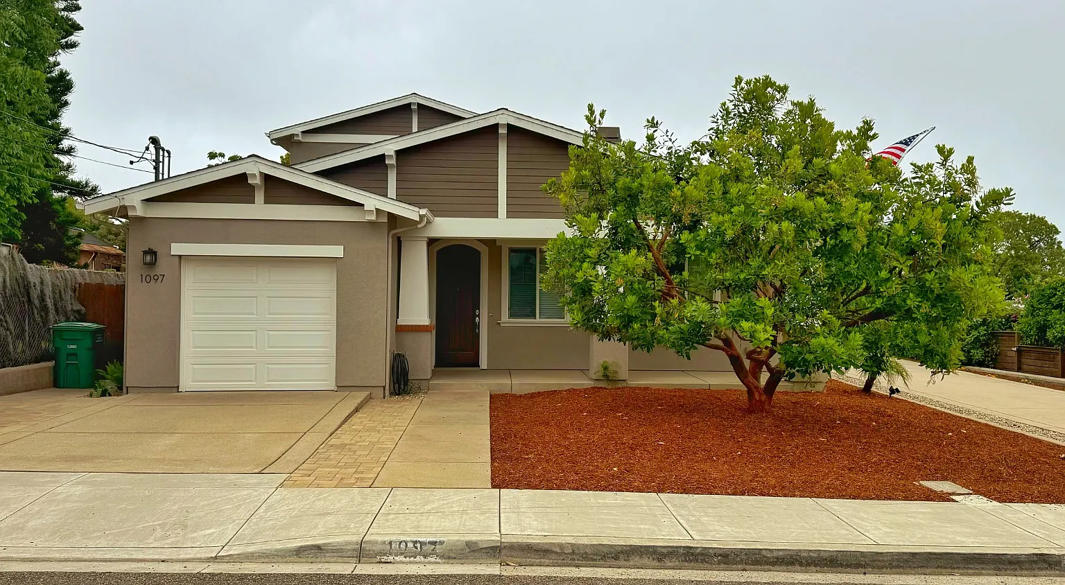 1099 Buena Vista Way — Photo 1
