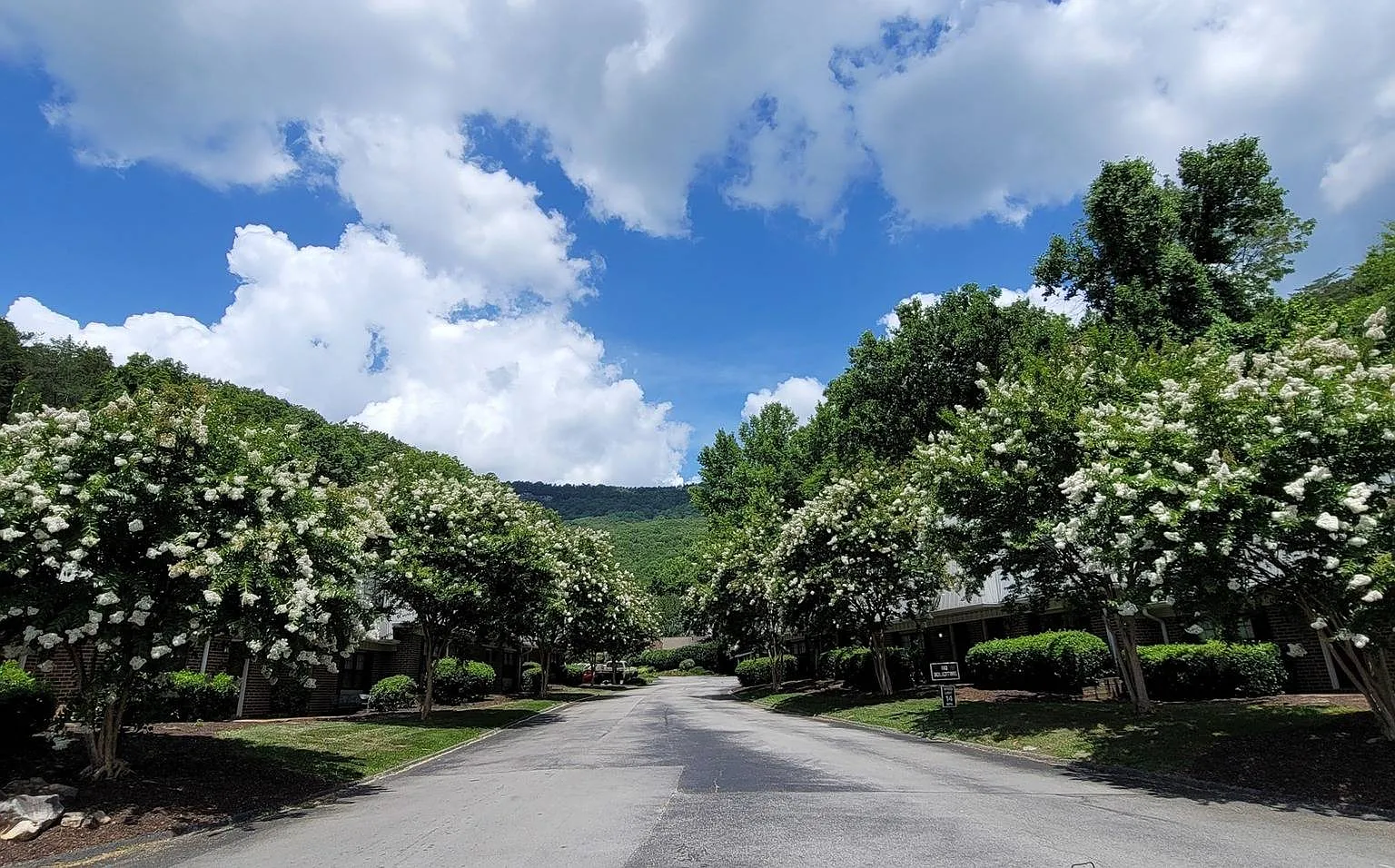 Trails of Signal Mountain — Photo 1