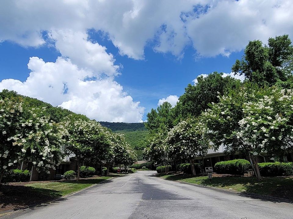 Welcome to Trails of Signal Mountain!