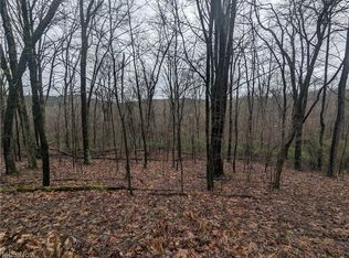 Overture Rd NE, Mechanicstown, OH 44651