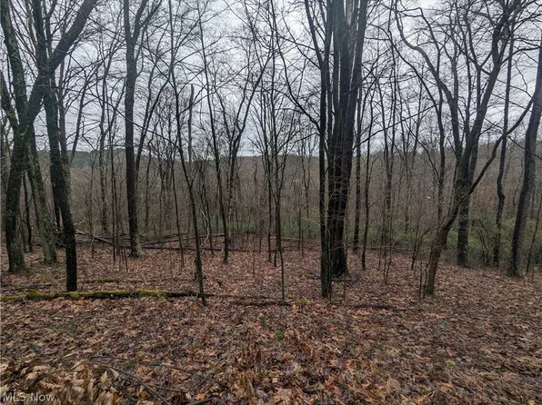 Overture Rd NE, Mechanicstown, OH 44651