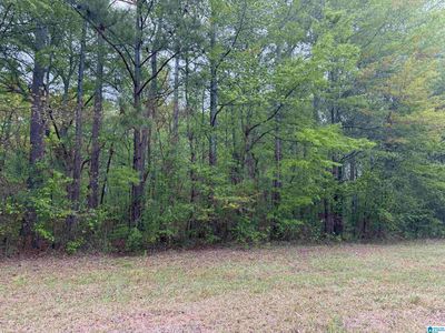 0 Mississippi St, Gadsden, AL, 35903