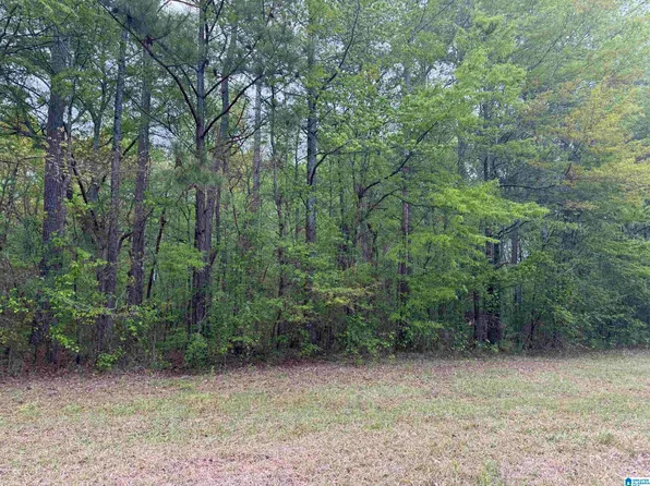 0 Mississippi St, Gadsden, AL 35903