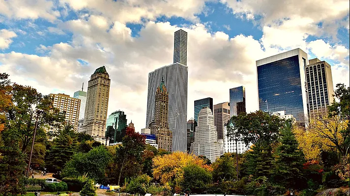 Rented by Vector New York, LLC | media 19