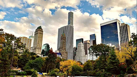 Rented by Vector New York, LLC