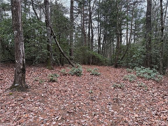 2nd image of LOT 82 Deer Antler Dr Lot 82