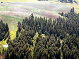 Tbd White Pine Flts, Troy, ID 83871