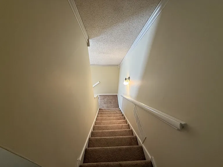 10011 Woodland Pine Cv W — Photo 24