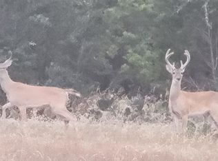 1700 County Road 312 #18, Thrall, TX 76578