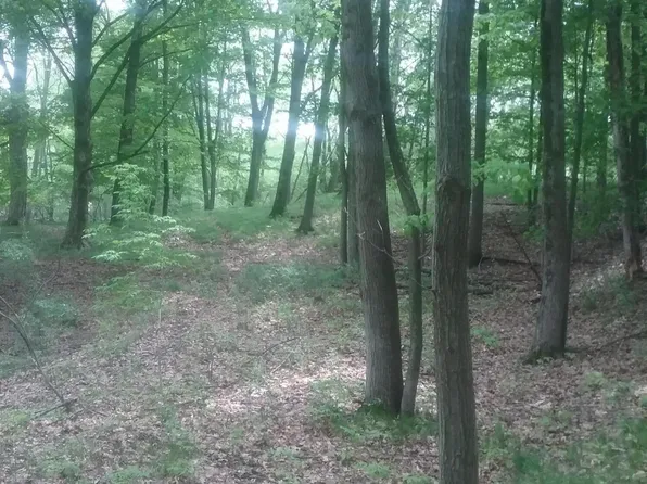 0 W Stanton Rd, Stanton, MI 48888