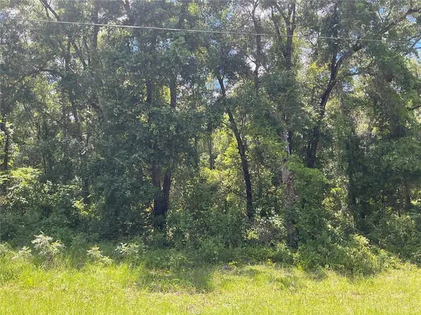 446 N Fitzpatrick Ave, Inverness, FL 34453
