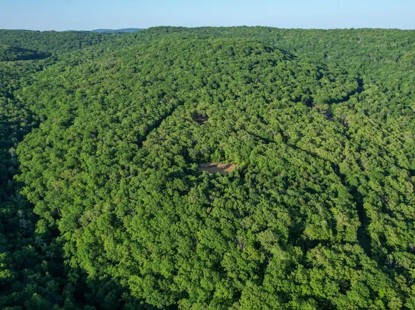 2 Chimney Field Rd, Winslow, AR 72959