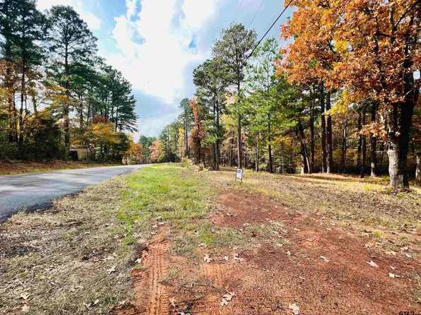 16271 County Road 436, Lindale, TX 75771