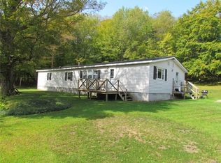 7225 S Bonaparte Road Ext, Harrisville, NY 13648