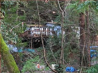 1st image of 10805 Creekwood Dr