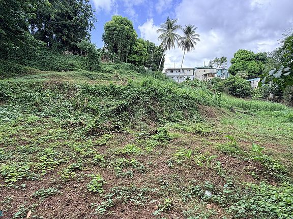 3rd image of 0 Mayaguez Bo Quebrada Grande