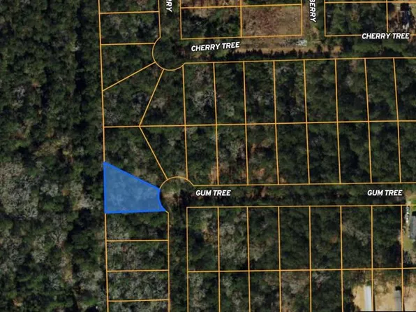 Lot 27 Gum Tree Lane, Plantersville, TX 77363