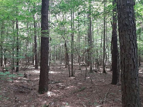 2nd image of 6664 Blackwater Rd