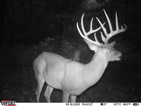 3rd image of 46029 S 660th Rd