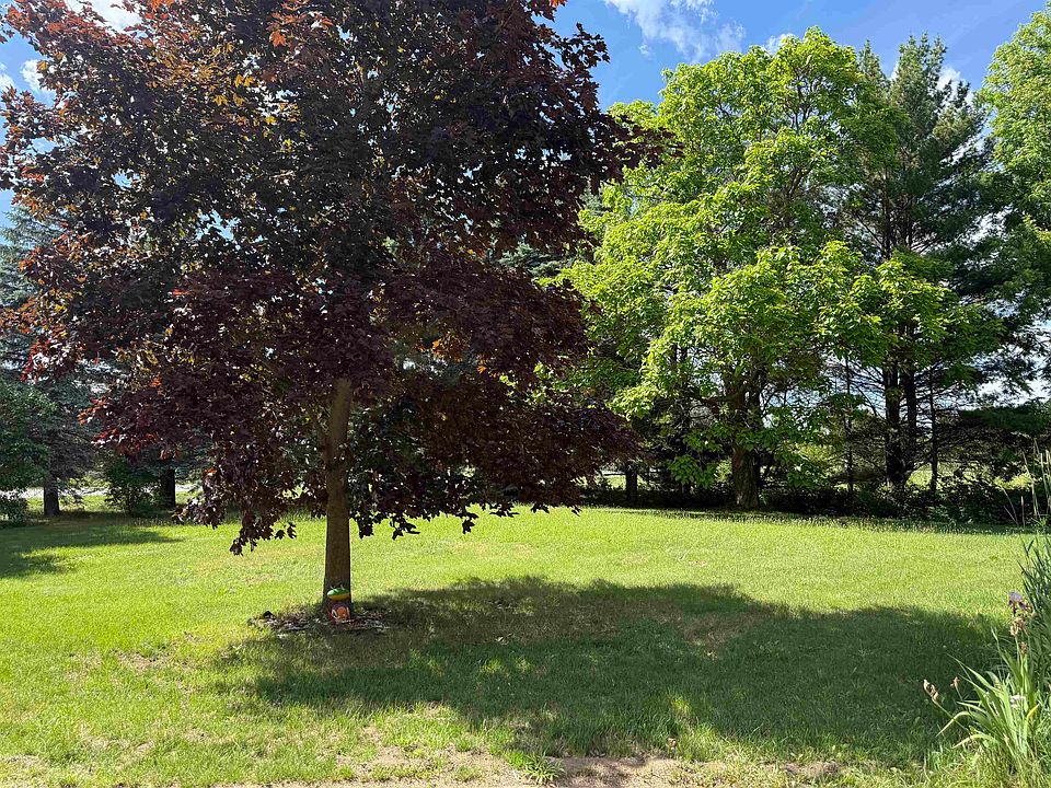 2nd image of 9749 Bell Rd