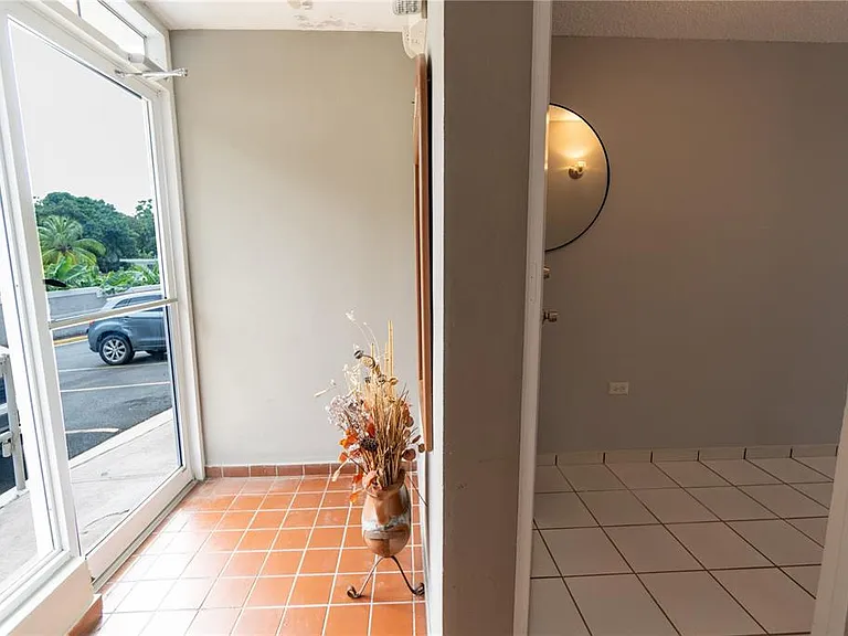 Cond Caparra Chalets 8 #2A1 — Photo 19