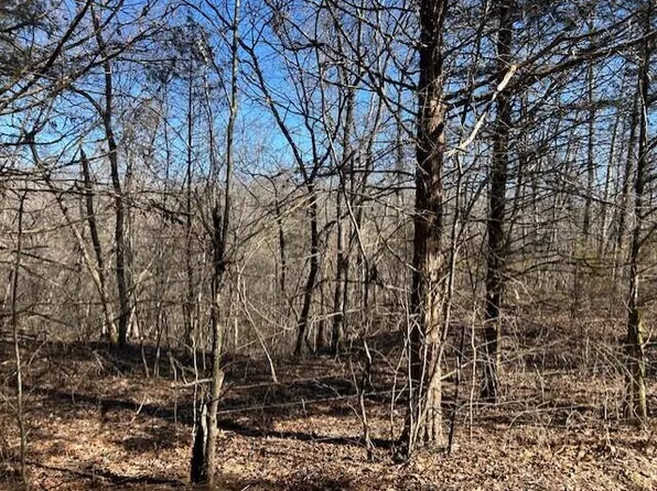 7789 E Co Road #T-561, Ava, MO 65608