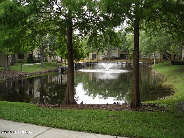 view from patio