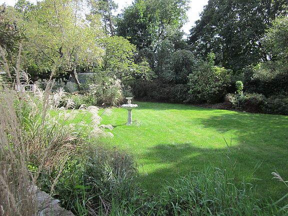 Rear Yard