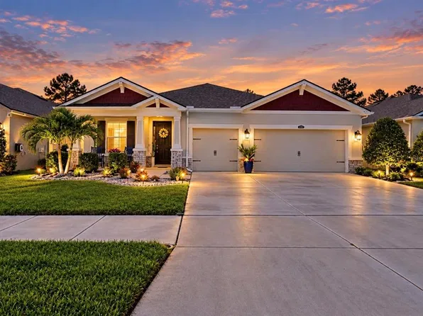 13235 BABY BELLE DRIVE, RIVERVIEW, FL 33579