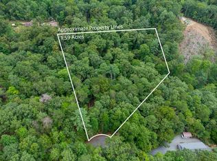 372 Emerald Springs Ln, Ellijay, GA 30540