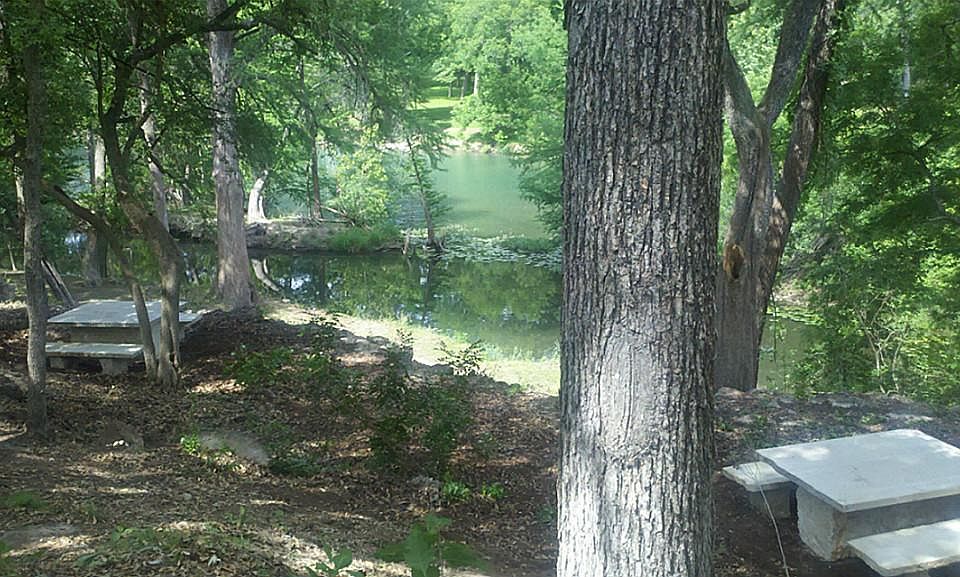 2nd image of 7 Gruene Wald