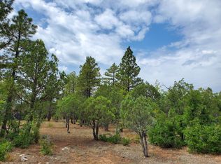 2459 Roundup Ln, Happy Jack, AZ 86024