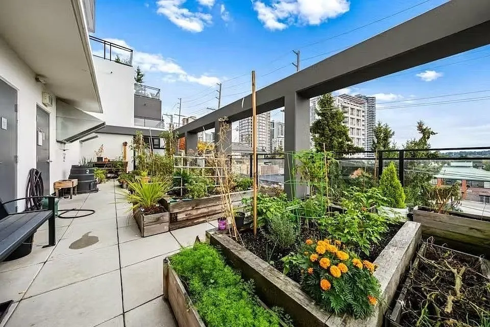 1 bed, 710 sqft, $2,195 — Photo 4