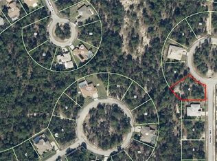 12 Fringetree Ct, Homosassa, FL 34446