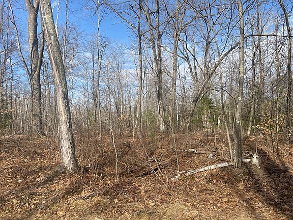 4th image of 24478 Wooded Cir
