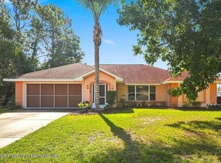 11154 Tuscanny Ave, Spring Hill, FL 34608