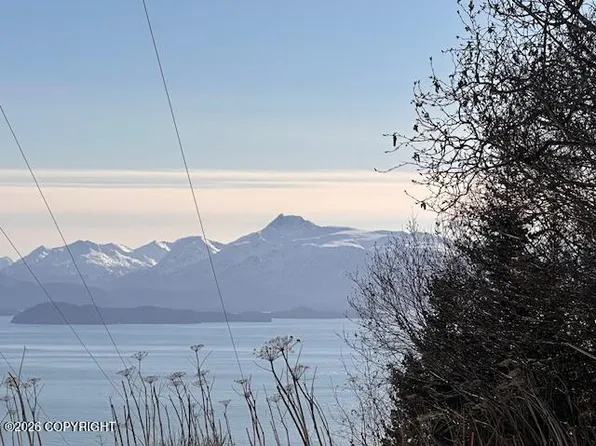 500 Paintbrush Ct, Homer, AK 99603